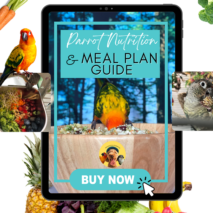 Cover for Parrot Nutrition Guide