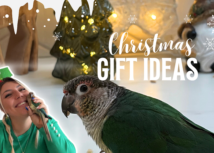 Cover for 🎄 Top 10 Christmas Gifts for Your Parrot (2025)