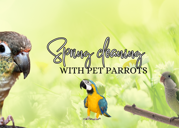 Cover for Spring Cleaning with Bird's: What's Safe and What's Not
