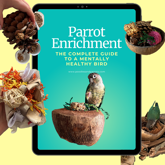 Cover for Parrot Enrichment Guide